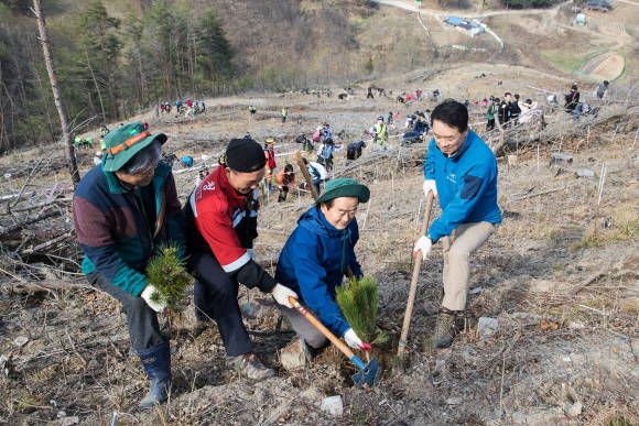 강원도 산불 피해지역에서 나무심기 활동을 진행하고 있는 모습. ⓒ 혼다코리아