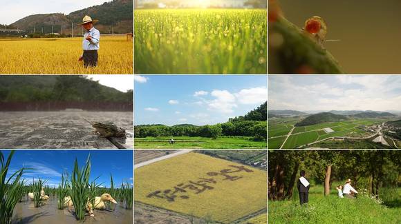 봉화마을 화포천의 사계와 생태를 밀착 촬영한 자연·환경 다큐 '물의 기억' 장면. ⓒ 김정호 의원실