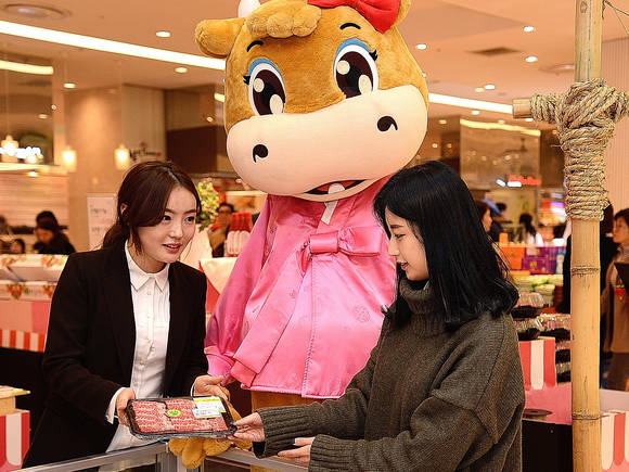 롯데백화점 부산본점 지하 2층 식품관에서 열린 한우 특송전 행사에서 고객이 한우를 살펴보고 있다. © 롯데백화점