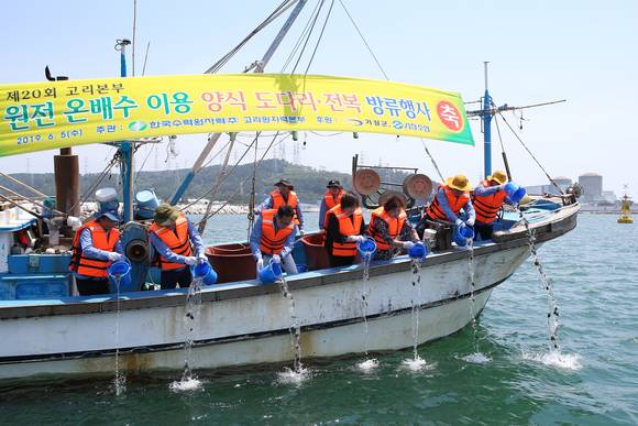 5일 부산시 기장군 장안읍 월내항에서 '제20회 원전 온배수 이용 양식 어패류 방류행사'를 통해 강도다리치어 3만미와 전복치폐 2만리를 방류했다. ⓒ 고리원자력본부