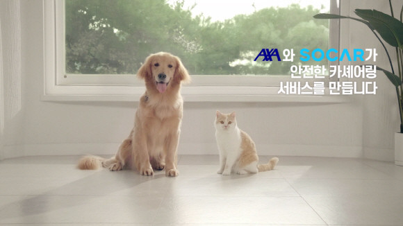 AXA손보와 쏘카의 '안전한 카셰어링 캠페인' 영상 스틸컷 ⓒ AXA손해보험