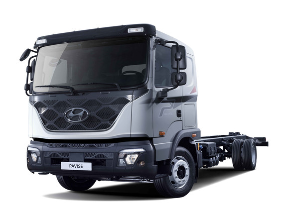 '중세 유럽 장방형의 커다란 방패'를 의미하는 파비스. ⓒ 현대자동차