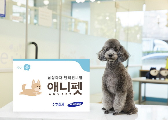 서울시 동물보호센터에서 유기견 입양 시 삼성화재 '반려견보험 애니펫' 1년치 보험료 전액을 지원한다. ⓒ 삼성화재