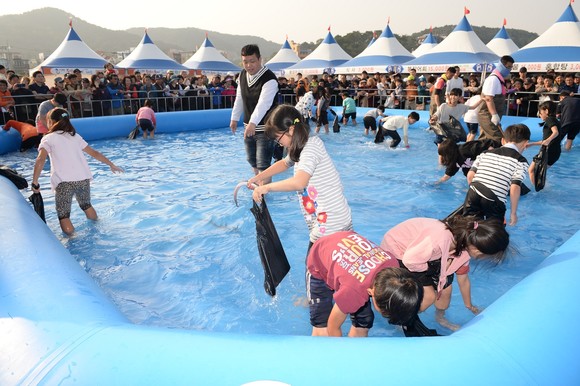 붕장어 맨손잡기 체험 모습. ⓒ 기장군