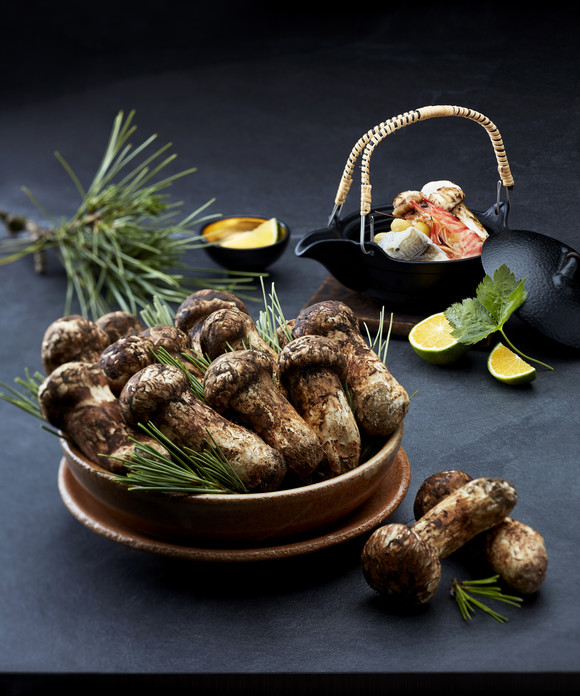 ⓒ 파라다이스호텔 부산