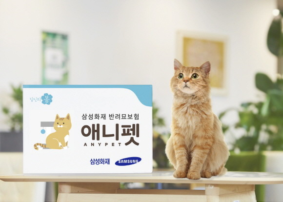 삼성화재가 반려묘의 입·통원의료비와 수술비, 사망위로금까지 보장하는 반려묘보험 '애니펫'을 자사 다이렉트 사이트를 통해 출시했다. ⓒ 삼성화재