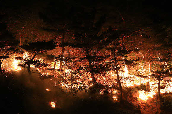 강원도 고성 산불로 육군 22사단 사령부 1000여명을 비롯해 신병교육대 800여명 등 장병 1800여명 및 주민들이 속초종합운동장과 아야진초등학교로 대피했다. ⓒ 연합뉴스