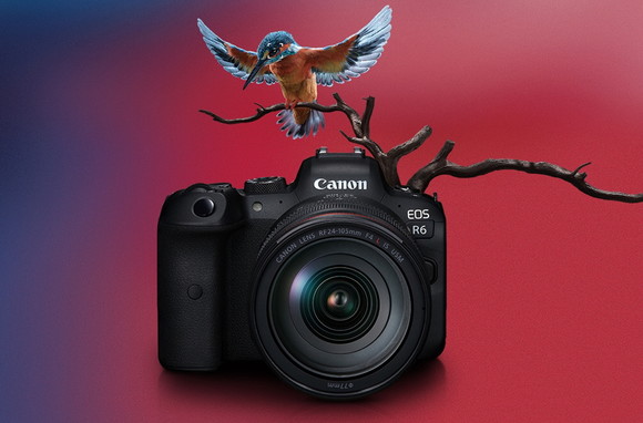 캐논이 풀 프레임 미러리스 카메라 EOS R6를 8월27일 전 세계 동시 발매한다. ⓒ 캐논코리아컨슈머이미징