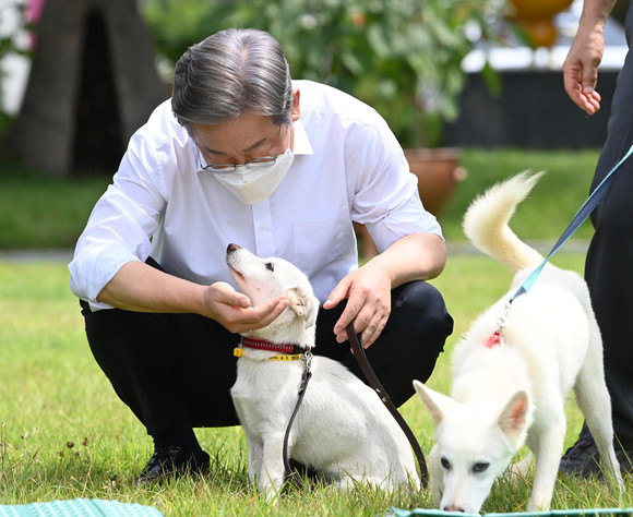 더불어민주당 대선 경선 후보인 이재명 경기도지사가 20일 경기도 고양시 덕양구 농업기술센터 내 잔디밭에서 열린 동물복지 공약 발표 기자간담회에서 동물보호센터 보호견 '오리'와 시간을 보내고 있다. ⓒ 국회사진기자단