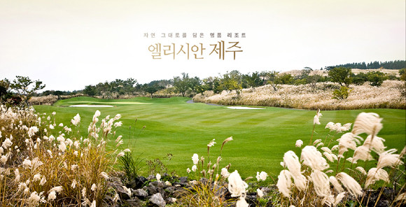 테라투어는 제주도 골프 전문 여행사다. ⓒ 테라투어