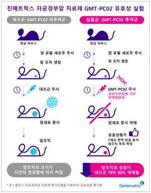 진매트릭스가 자궁경부암 치료제 후보물질 'GMT-PC02'의 국제특허를 출원했다. ⓒ 진매트릭스