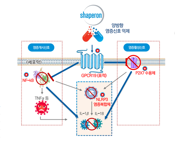 샤페론의 GPCR19 표적 염증복합체 억제제 기전 ⓒ 샤페론