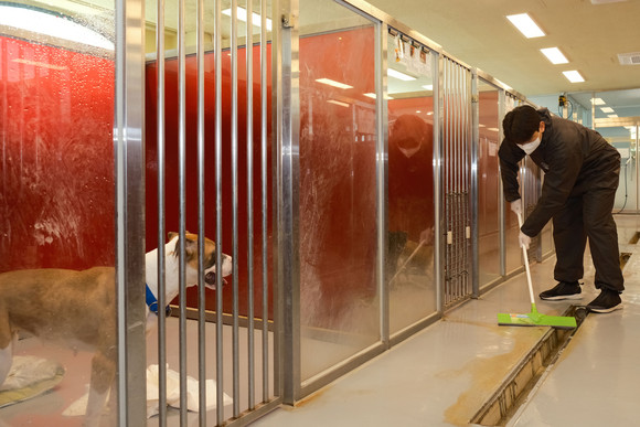 한진 직원이 견사 청소 봉사활동을 하고 있다. ⓒ 한진