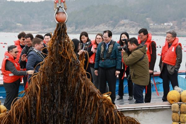 미 에너지부 산하기관 에너지 고등 계획원(ARPA-E) 관계자들이 완도군 해조류 양식장을 찾았다. ⓒ 완도군