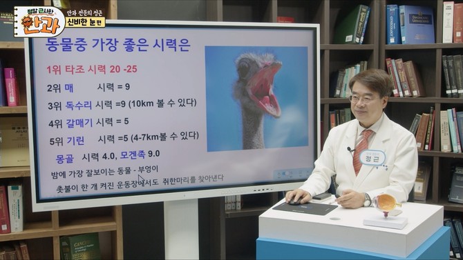 부산에서 제작되어 19일 시연을 한 비디오북 '정말 근사한 안과' 중 한 컷. ⓒ 정근안과병원