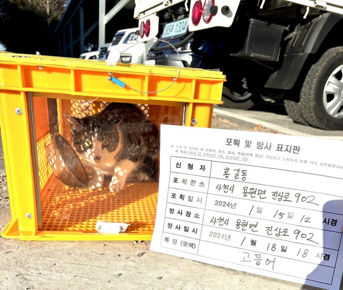 사천시 길고양이·실외사육견 무료 중성화수술 신청. ⓒ 사천시