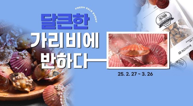 수협쇼핑 제철 활가리비 1만원대 특가 할인 행사 개최 이미지. ⓒ 수협중앙회
