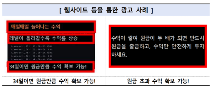 폰지사기가 의심되는 웹사이트 등을 통한 광고 사례. ⓒ 금융감독원
