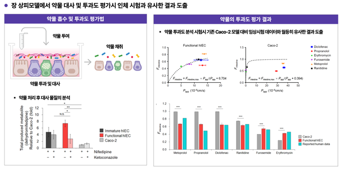 (좌측부터) ISTAND에 제출한 장 오가노이드를 활용한 약물흡수도 평가 시험 개요와 약물 흡수도 평가 시험 결과 인체 데이터 유사성 검증 결과. ⓒ 오가노이드사이언스