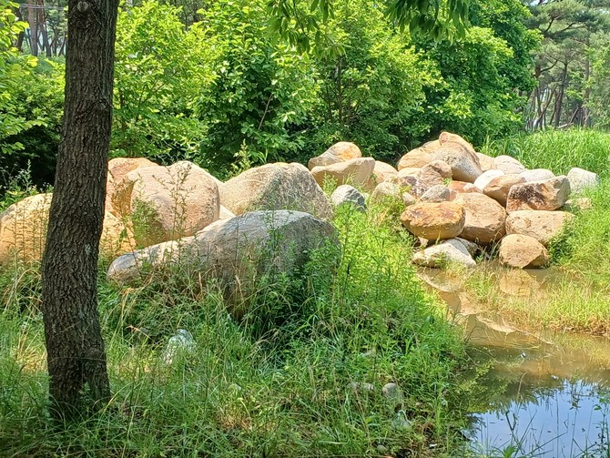 산청군 신등면 율현천 내에서 반출된 자연석. ⓒ 프라임경제