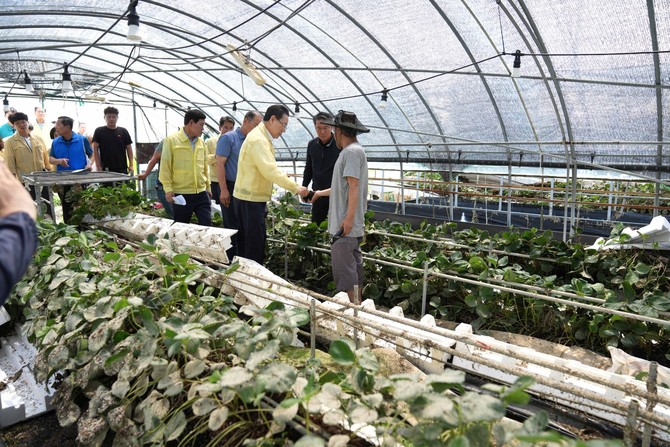 김영록 전남지사가 20일 담양의 수해 피해농가를 방문해 현황을 살피고 있다. ⓒ 김영록 페이스북