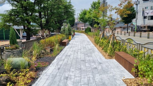 서부초등학교 통학로 일원에 조성된 자녀안심그린숲 모습. ⓒ 안동시