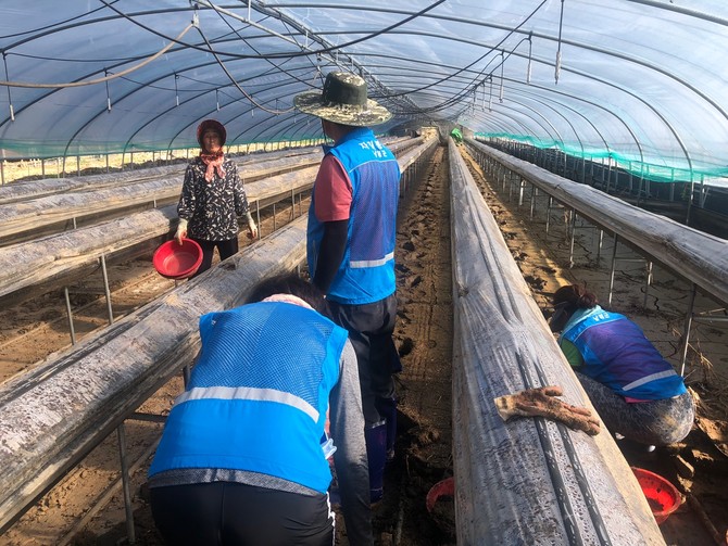 자원봉사센터, 하동군 수해복구 현장에 따뜻한 손길. ⓒ 남해군