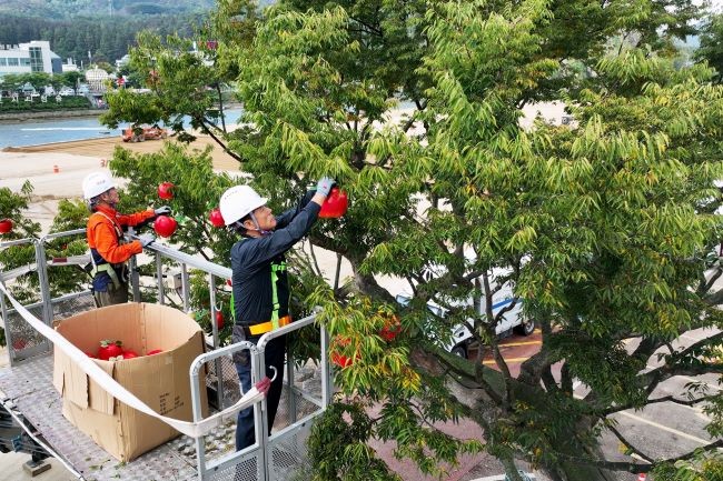 윤경희 군수가 제19회 청송사과축제 준비를 진두지휘하고 있다. 사진은 축제장 느티나무 앞 사과 조형물을 직접 설치하고 있다. ⓒ 청송군