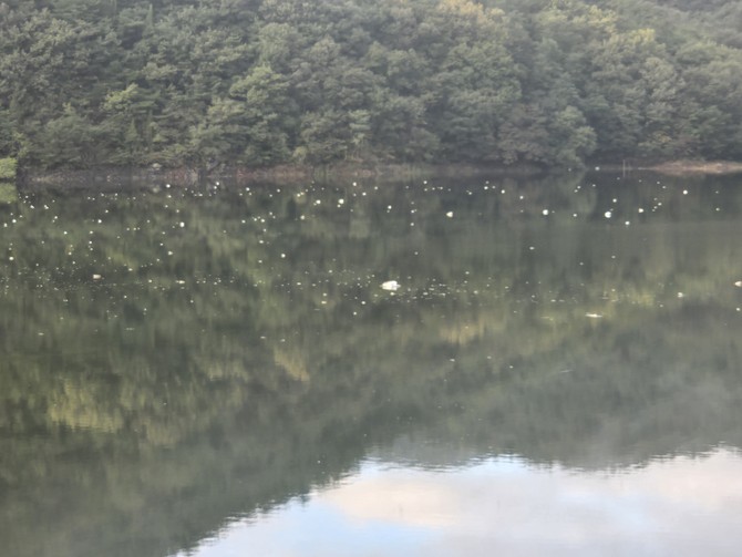 수상레포츠 시설에 사용되던 스티로폼 잔해 부유물. = 나영혜 기자