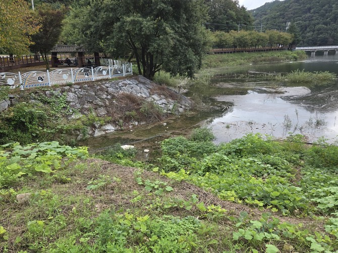 수상레포츠 시설에 사용되던 스티로폼 잔해 부유물. = 나영혜 기자