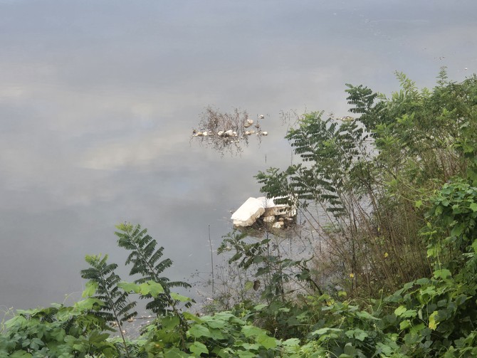 수상레포츠 시설에 사용되던 스티로폼 잔해 부유물. = 나영혜 기자