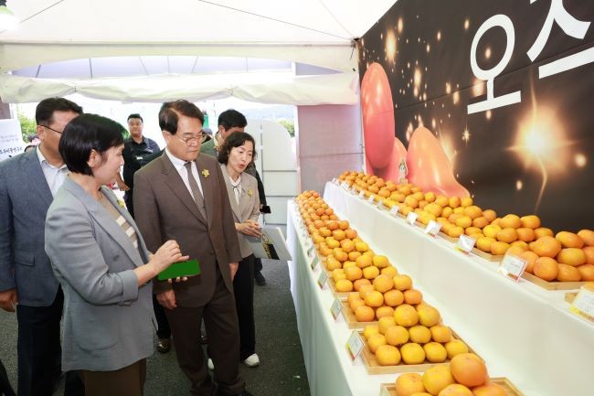 김하수 군수가 2025 청도반시 품평회를 둘러보고 있다. ⓒ 청도군
