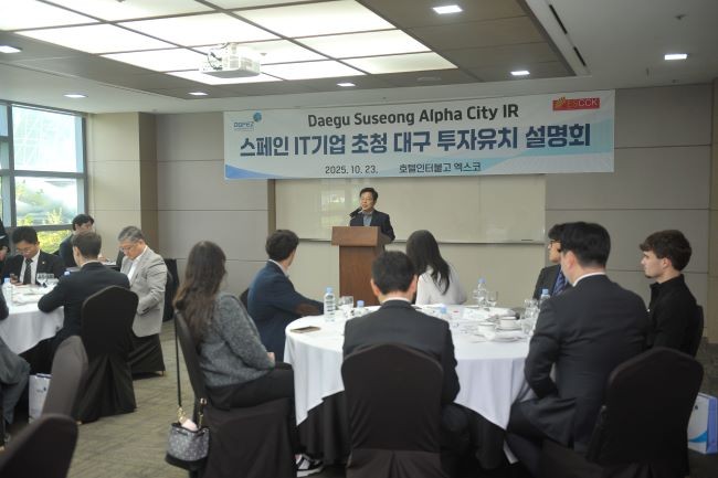 스페인 IT기업을 초청한 대구 투자유치 설명회 모습. ⓒ 대구경북경제자유구역청