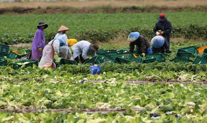 국회 농림축산식품해양수산위원회 소속 이원택 의원이 올해 본사업으로 전환된 농업수입안정보험의 보험료가 기존 재해보험 대비 최대 3배 이상 오르며 농가 부담을 가중시켜 제도 취지가 훼손됐다고 지적했다. ⓒ 연합뉴스