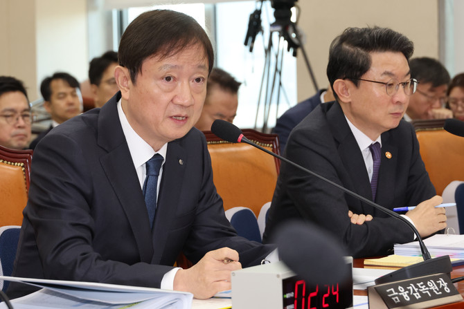 이찬진 금융감독원장이 27일 국회 정무위원회의 종합감사에서 위원 질의에 답하고 있다. ⓒ 연합뉴스