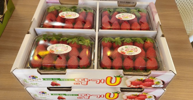 서울 가락동 농수산물도매시장에서 올해 산 홍성딸기 첫 출하. ⓒ 홍성군