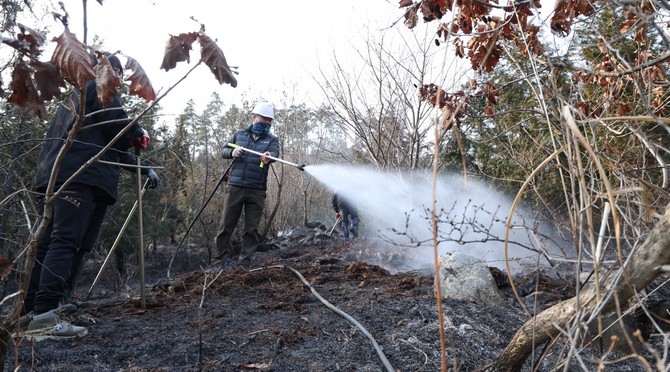 올해 3월 이원면 산불 진화 모습. ⓒ 태안군