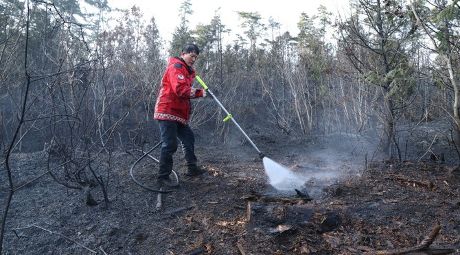 올해 3월 이원면 산불 진화 모습. ⓒ 태안군