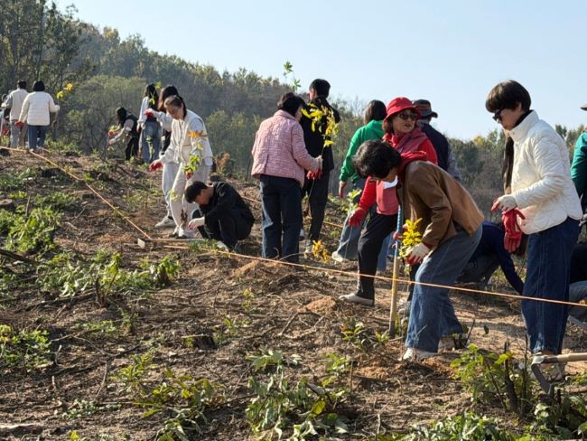 울산시사회복지협의회가 '2025 사회복지종사자 안동 힐링여행'을 실시하며, 안동지역에서 상수리나무 묘목심기 봉사활동을 펼치고 있다. ⓒ 안동시
