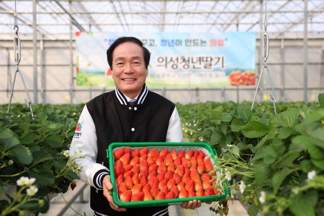 김주수 군수가 의성청년딸기를 들어보이고 있다. ⓒ 의성군