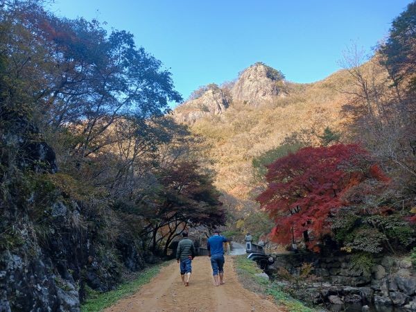 담양군은 가마골생태공원 입구부터 약 500m 구간에 걷기 좋은 흙길을 조성했다. ⓒ 담양군
