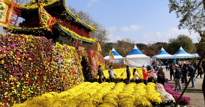 제22회 백제고도부여국화축제장 모습. ⓒ 부여군