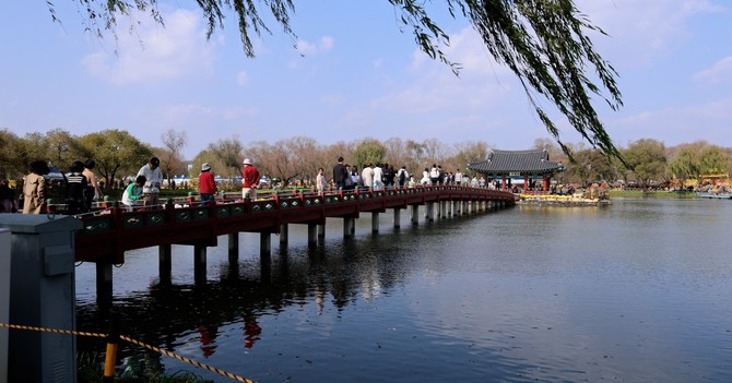 제22회 백제고도부여국화축제 모습. ⓒ 부여군