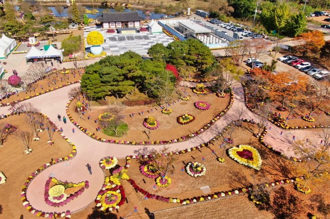 '2025 꽃과 바다 태안 국화축제' 모습. ⓒ 태안군