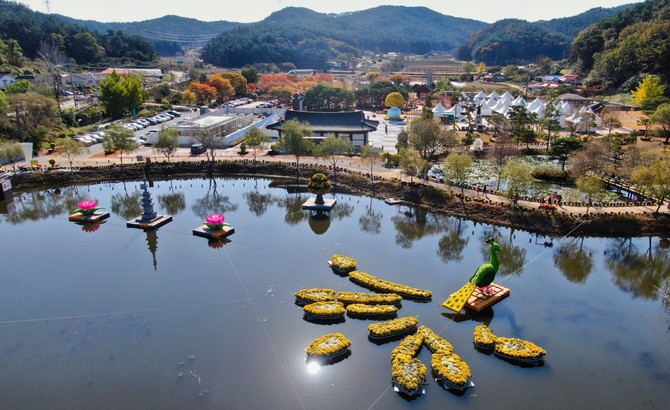 '2025 꽃과 바다 태안 국화축제' 모습. ⓒ 태안군