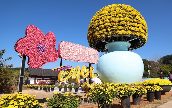 '2025 꽃과 바다 태안 국화축제' 모습. ⓒ 태안군