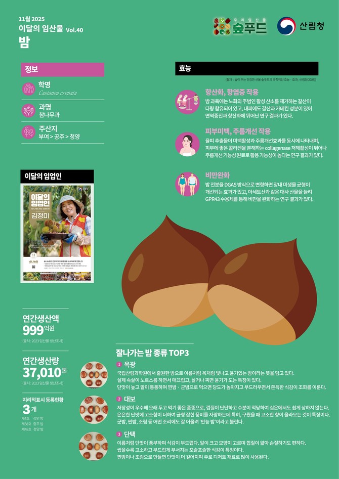 11월 '이달의 임산물' 밤 선정. ⓒ 산림청