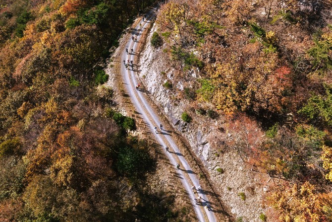 남해군이 (사)대한산악연맹 남해산악회의 주관으로 남해힐링숲 타운과 내산 트레킹길 일원에서 '2025년 보물숲 등반대회'행사를 개최하고 있다. ⓒ 남해군