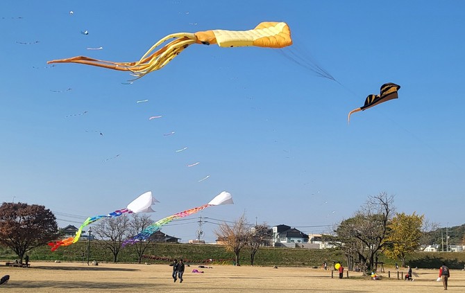 지난해 11월23일 해미읍성에서 열린 제8회 서산해미읍성 연날리기 대회 장면. ⓒ 서산시