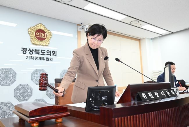 2025 행정사무감사를 진행하는 이선희 기획경제위원장. ⓒ 경북도의회